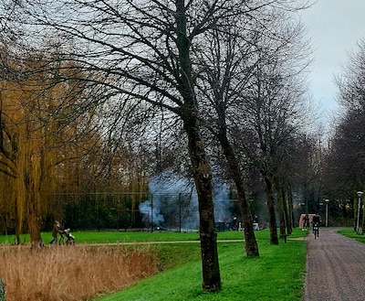 Lezers verdeeld over vuurwerk: neefje zonder hand, maar ook angst voor nóg meer illegaal knalwerk