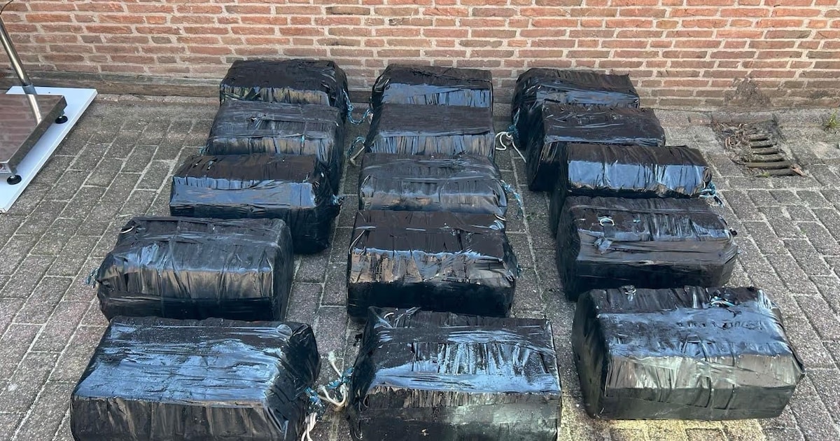 Honderden kilo’s coke onderschept bij Neeltje Jans: zo werkt drugsdrop-off
