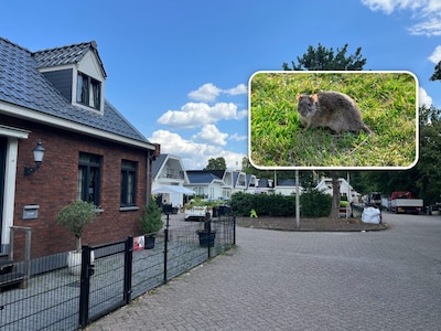 Als bewoner heft in eigen handen neemt na rattenoverlast, staat binnen mum van tijd politiemacht op de stoep