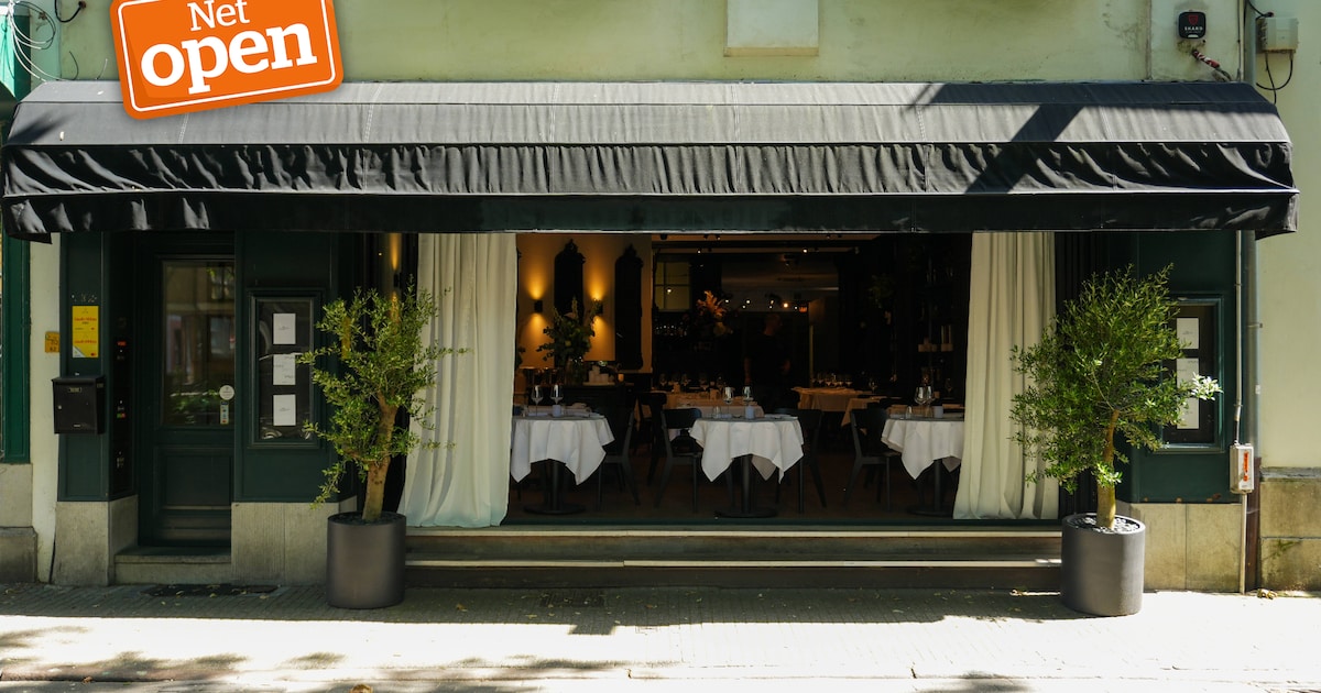 NET OPEN. Amore brengt Italiaanse keuken met wereldse smaken in hartje Antwerpen: “We serveren elk p