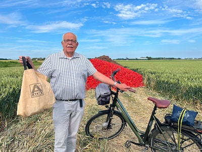 Berg rode paprika’s zorgt voor woede op Facebook, maar boer blijft nuchter: ‘Ik wil geen trammelant,