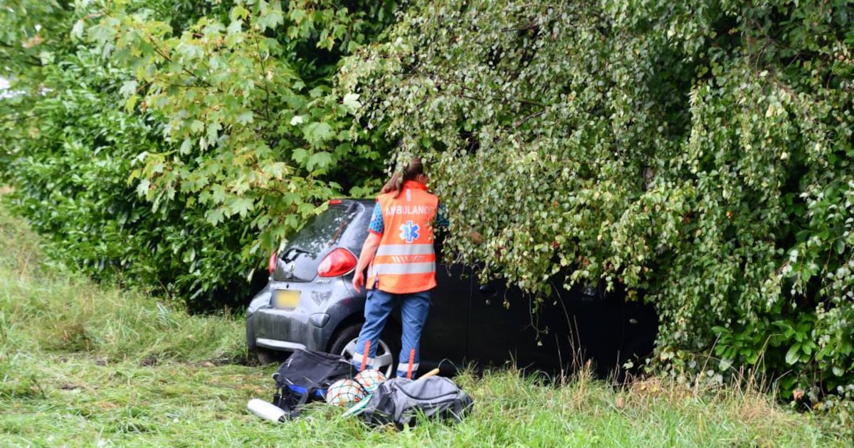 Auto rijdt de bosjes in na eenzijdig ongeval op Tolweg in Hulst.