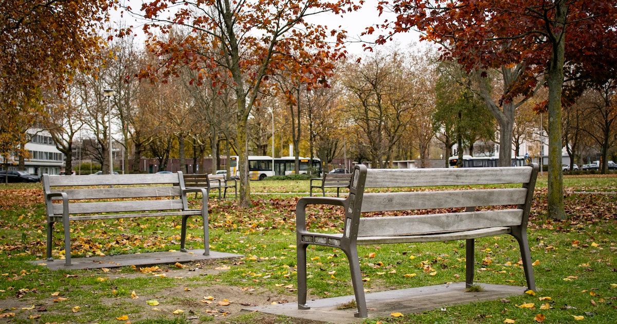 Nu al heel wat overlast met vuurwerk op Linkeroever en in Berchem: een persoon opgepakt