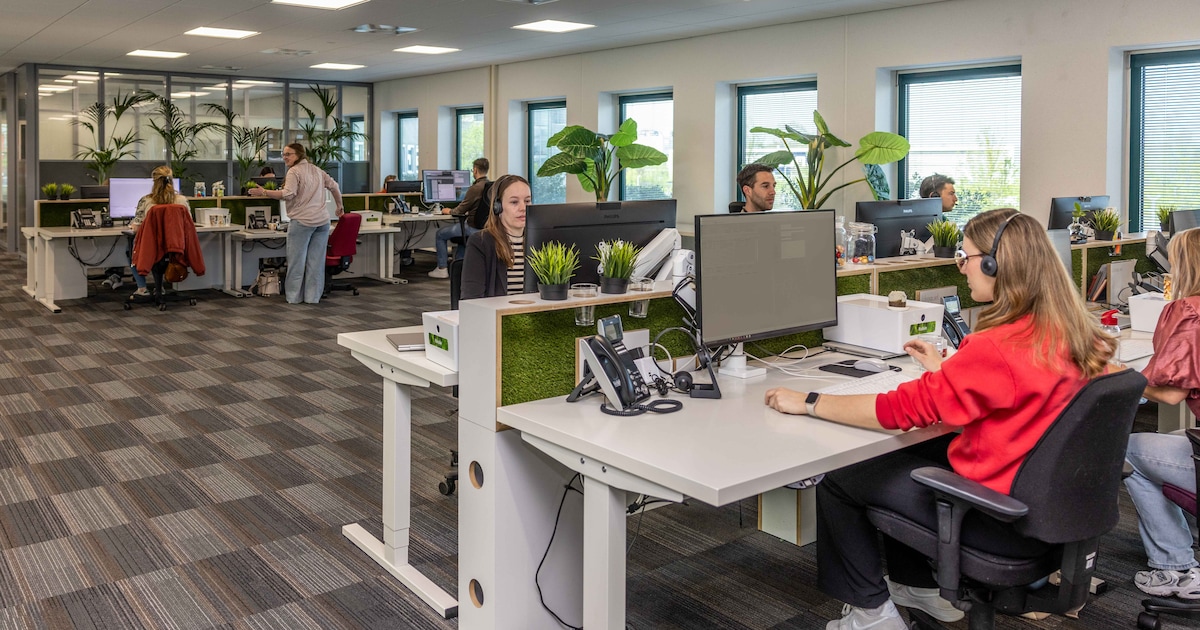 Verzekeraar zonder chatbots en wachttijden: ZLM bestaat 75 jaar (en heel Zeeland viert feest)