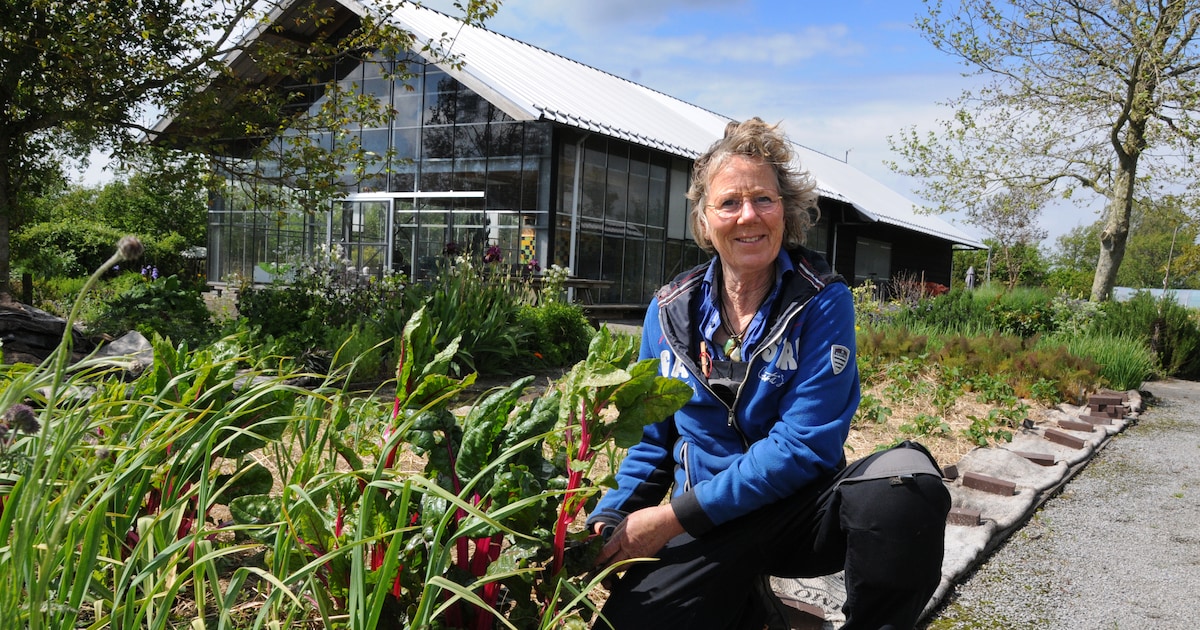 Dieneke kweekt eetbare bloemen en vergeten groenten: ‘Zoeken naar uitdagingen is een geweldige ervar