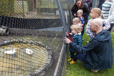 ‘Zo fijn dat er weer een kinderboerderij is in Steenbergen’: grote drukte bij opening