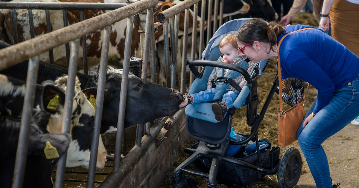 Hemelvaartsdag is Tour langs de Boer-dag in de Hoeksche Waard