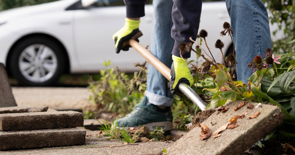 Tegeltaxi gaat weer rijden in gemeente Schouwen-Duiveland