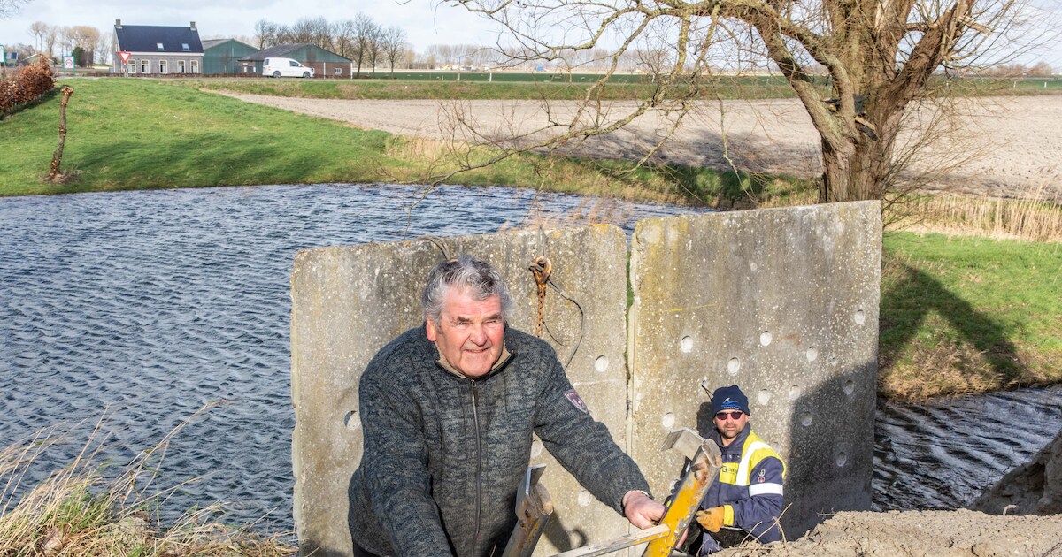 Nieuwe plek voor oeverzwaluwen