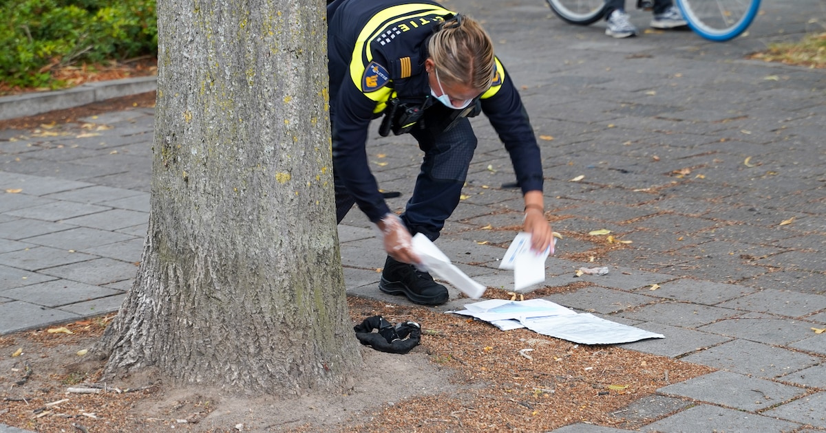 Eén persoon gewond na vechtpartij op Kappeijne van de Coppelloweg in Dordrecht