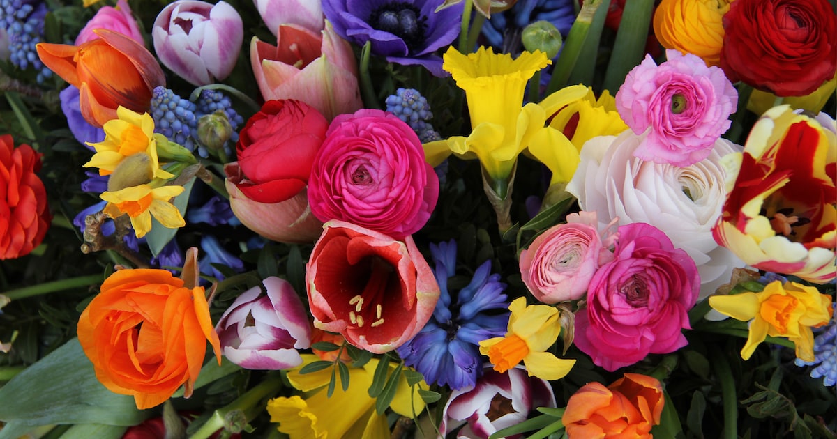 Vrijwilligers in Vlissingen krijgen presentje tijdens Dag van de Vrijwilliger