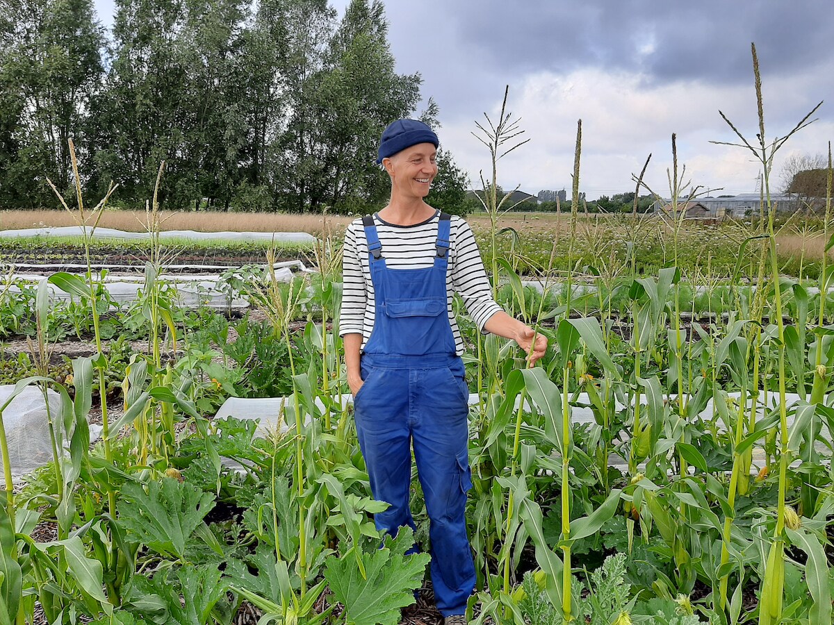 Op Nieuwe Klimaatboerderij Grassroots Staat Duurzaamheid Centraal In 