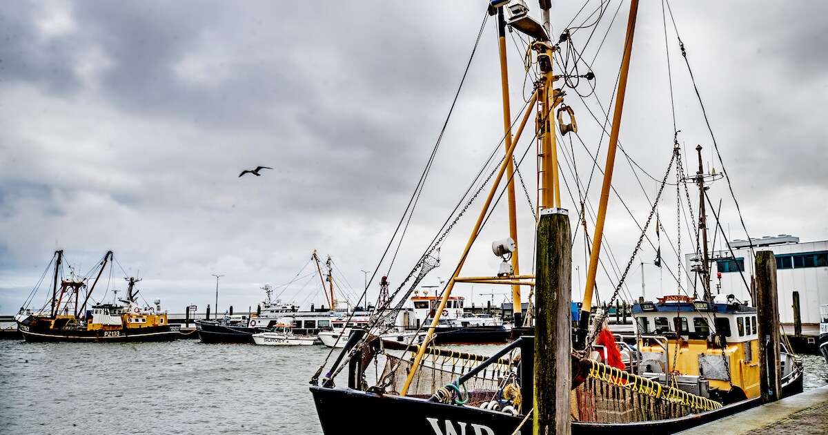 Toekomst haven Herkingen: inwoners kunnen meedenken over plannen
