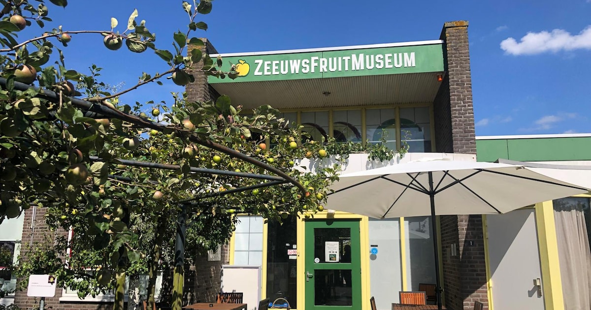 Plantendokter houdt spreekuur bij ZeeuwsFruitMuseum in Kapelle