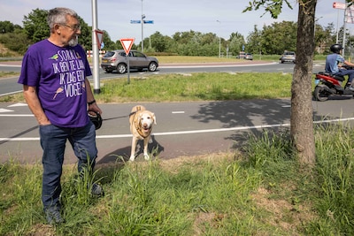 Dikke paniek aan de telefoon: rupsen spinnen bomen en zelfs auto’s in (maar is dat altijd erg?)