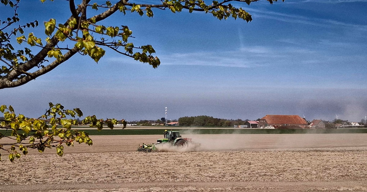 MIJN FOTO | Na droogte komt regen?