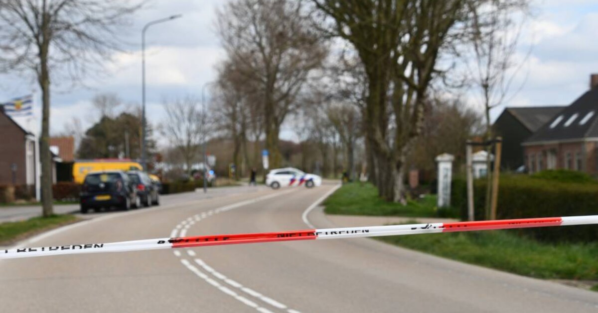 Paard slaat op hol en wordt aangereden in Meliskerke | Veere