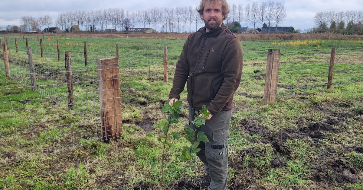 Natuurmonumenten pakt De Zak aan: ‘Wat is leuker dan straks weer een patrijs of steenuil zien?’