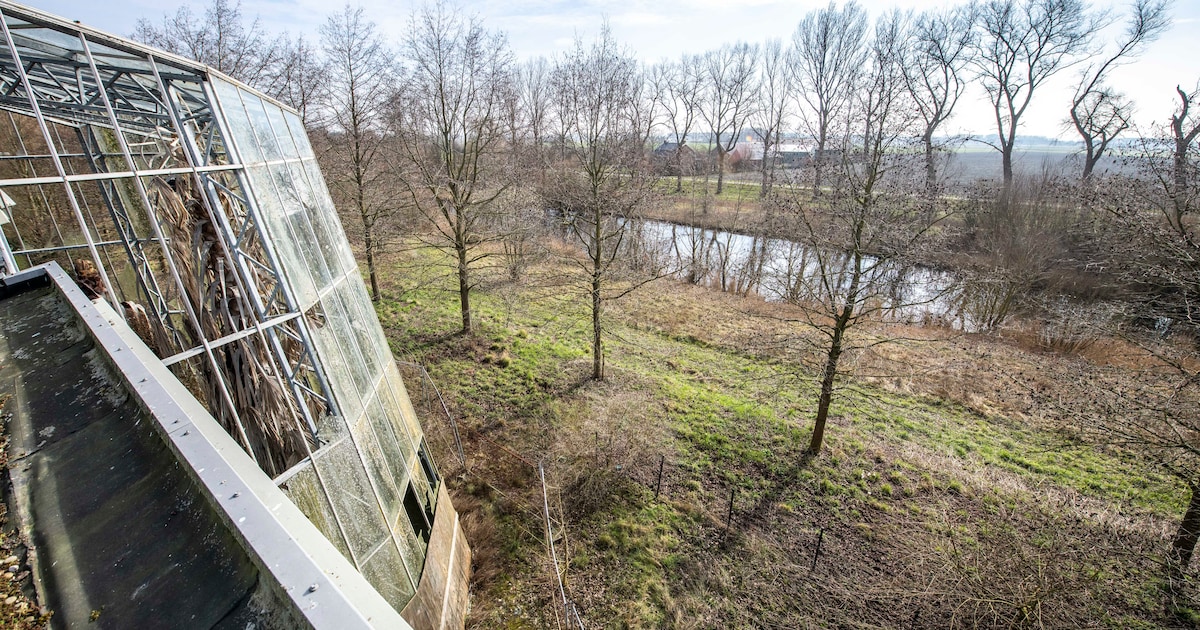 Ondernemers halen fel uit naar gemeente over Euregiotuinen Oostburg: ‘falend openbaar bestuur’