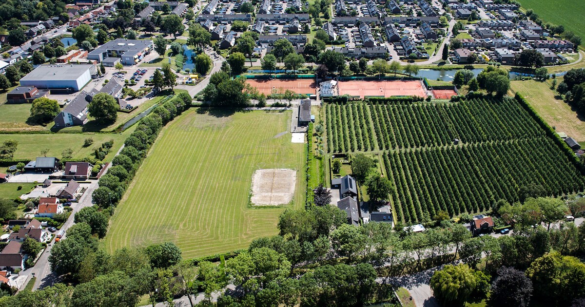 Sportclubs blijven achter met vervallen accommodaties na uitstel nieuw zwembad: ‘Alles ligt al jaren