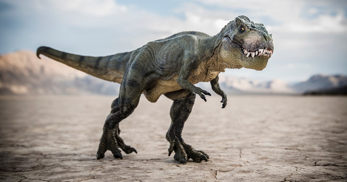 Dino’s spotten in Gastels Speelbos