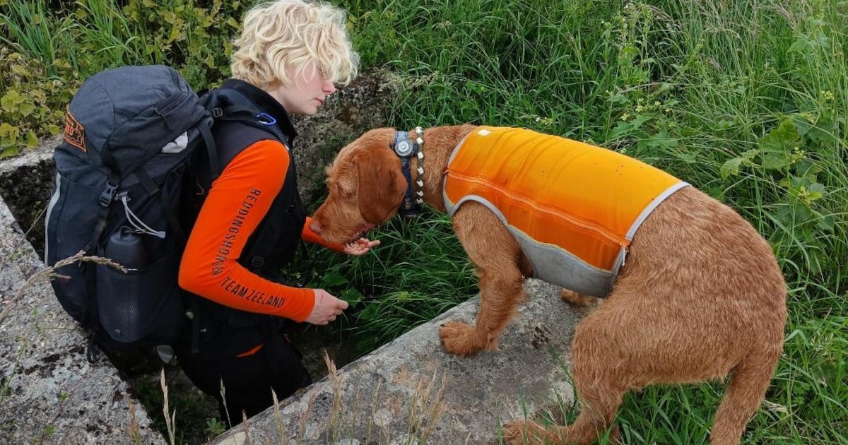 Hulp uit Zeeland bij zoektocht naar vermiste man in Frankrijk: drie honden zoeken sinds vandaag mee