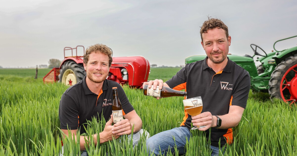 Serge en Sebastiaan verbouwen gerst voor hun eigen blonde bier: Wolpha
