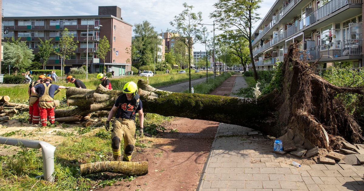 Fors minder schade op Tholen door noodweer vorig jaar