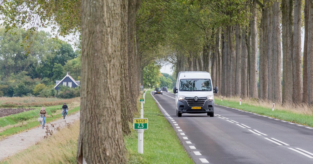 Snelheid verlagen om tweehonderd bomen bij Wolphaartsdijk te redden is niet aan de orde
