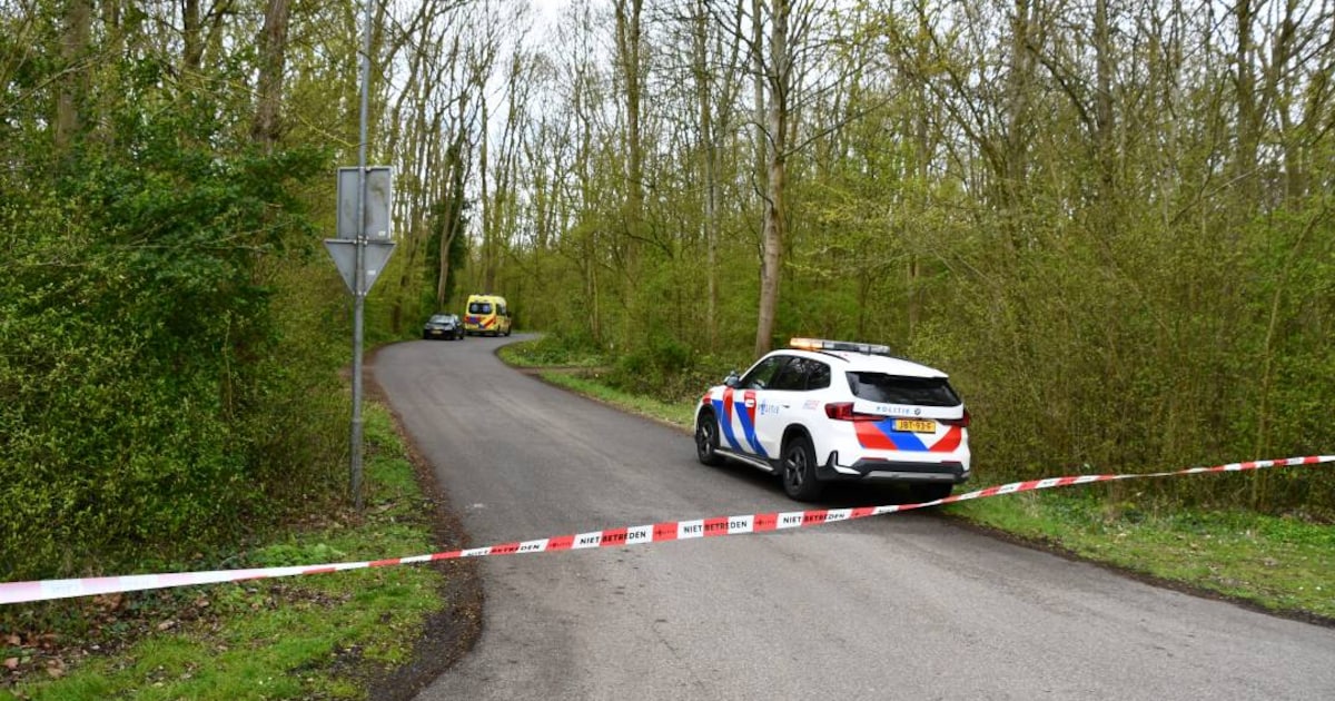 Verdachte steekpartij in Vlissingen loopt nog vrij rond, omgeving Nollebos niet gevaarlijk