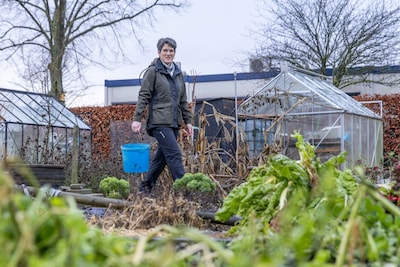 Anoeska's tuinbonen deden het dramatisch slecht, maar onderzoek naar deze volkswijsheid kan een oplossing bieden