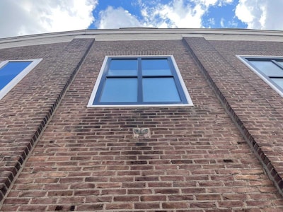 Mysterie opgelost: daarom zie je vaak een adelaar op Middelburgse panden