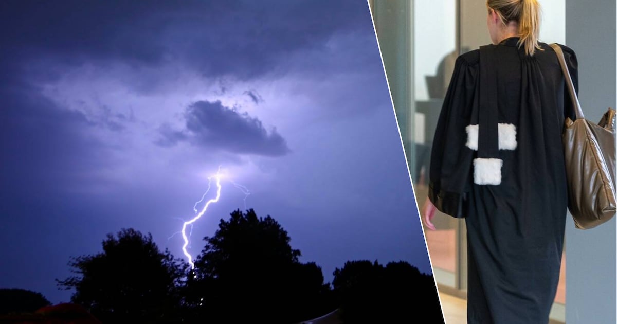 Man die met wagen tijdens onweer in de wei belandt en wegvlucht, kent zijn straf: “Automatisch syste