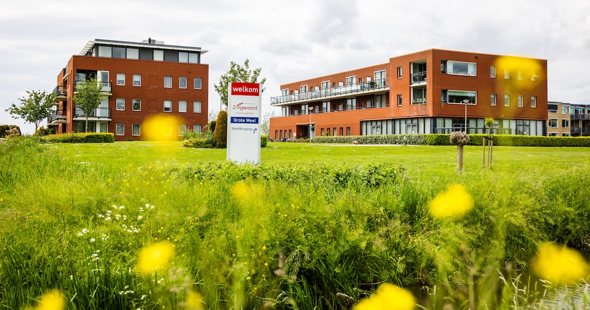 Onrust in De Grote Weel: senioren in Strijen eisen duidelijkheid over nieuwe, jonge buren met rugzak