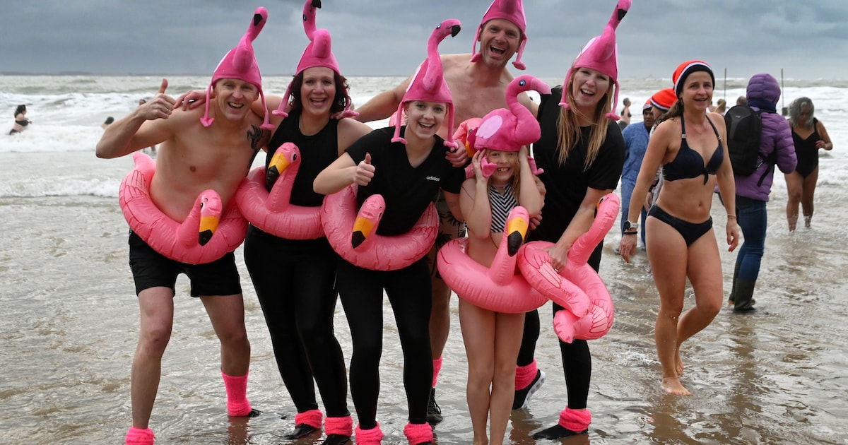 Verkleed als flamingo het zeegeweld in: ‘Die golf benam me echt de adem’