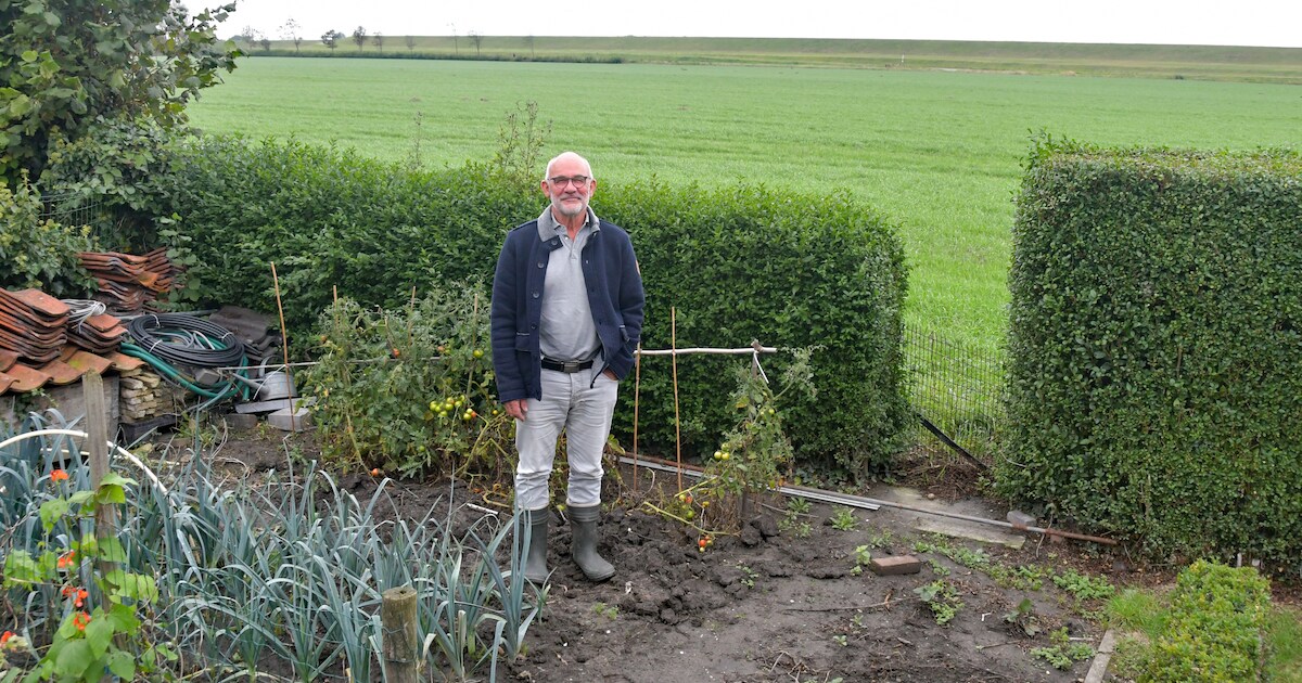 Walsoorden kijkt tegen een vervuilde zeedijk aan: ‘Gras wil er nauwelijks op groeien’ | Grondvervuil