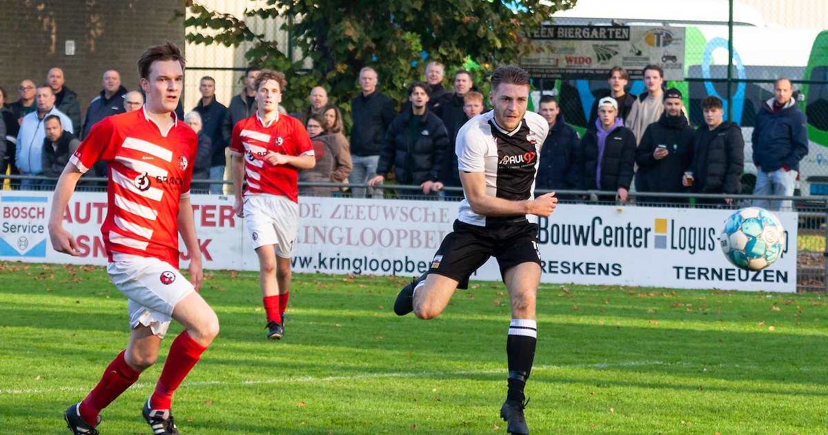 Van Grimberghe en Roovers balen, complimenten voor De Ridder en Clinge ...
