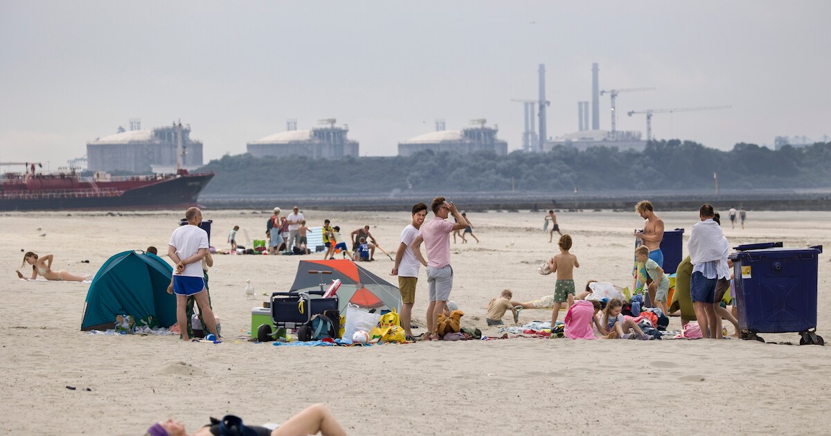 Zin in een frisse duik? Hier zie je waar je veilig kunt zwemmen in jouw regio