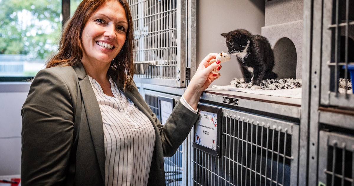 Iris heeft grootse plannen met De Dierenstee: ‘Ik ben absoluut voor meer zichtbaarheid’