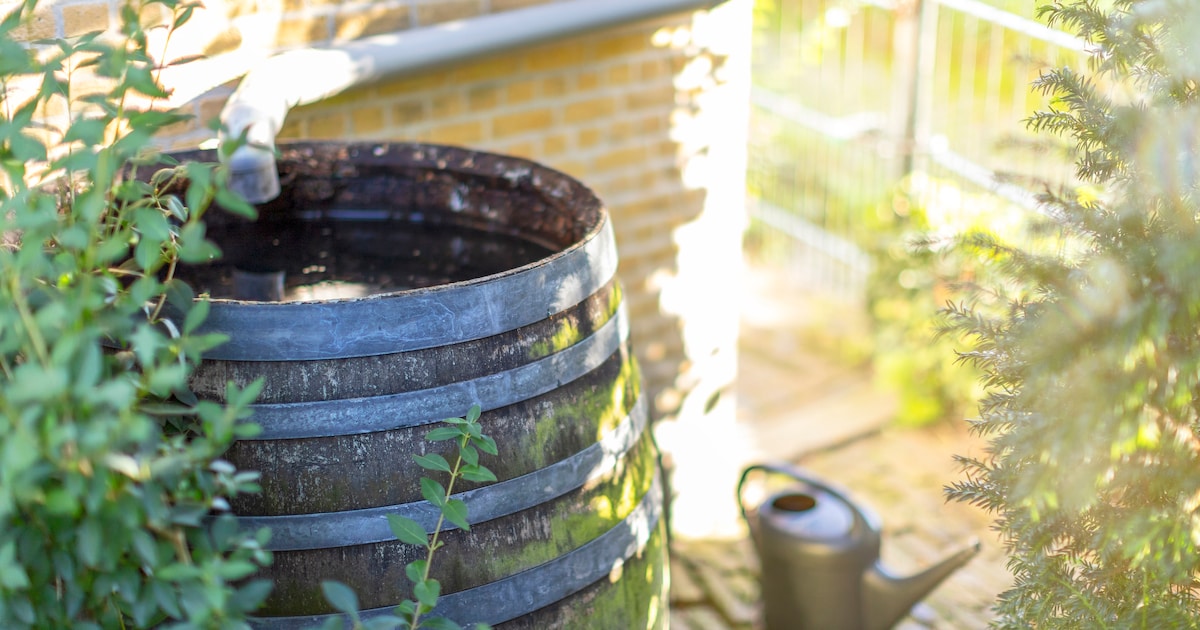 Gemeente Kapelle geeft gratis regentonnen weg