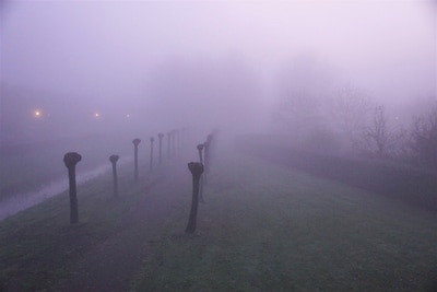 Mist of mistbanken op Tholen in de ochtend