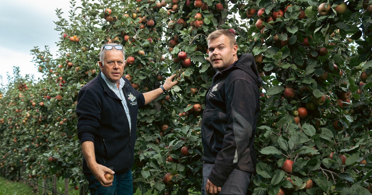 Op deze datum koop je voor een prikkie fruit in Breda