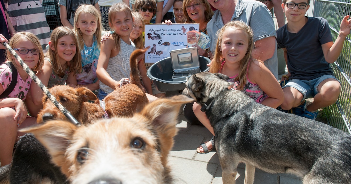 Souburgse kinderen in actie voor Dierenasiel Walcheren