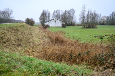 Schouwen-Duiveland is niet van plan vergunning voor ‘Paleis Soestdijk’ bij Zonnemaire in te trekken