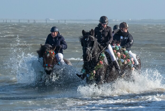 Paarden wassen de benen en het publiek viert het naderende voorjaar: de ...