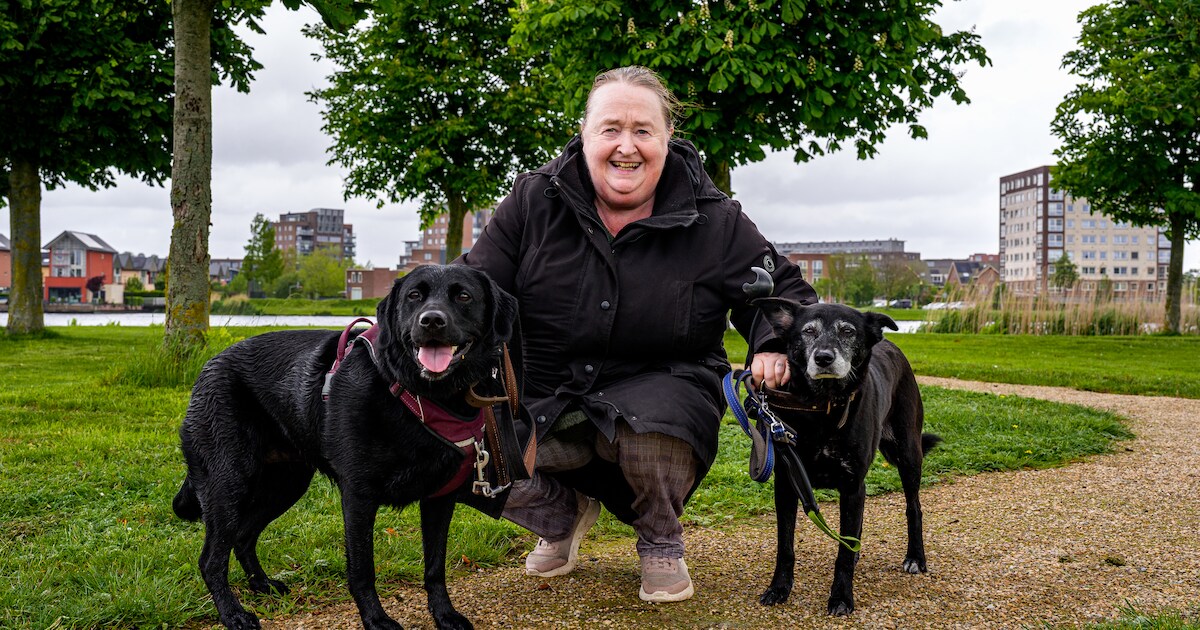 Barendrecht is een walhalla voor honden: ‘Nellie en Beauty leven zich hier helemaal uit’