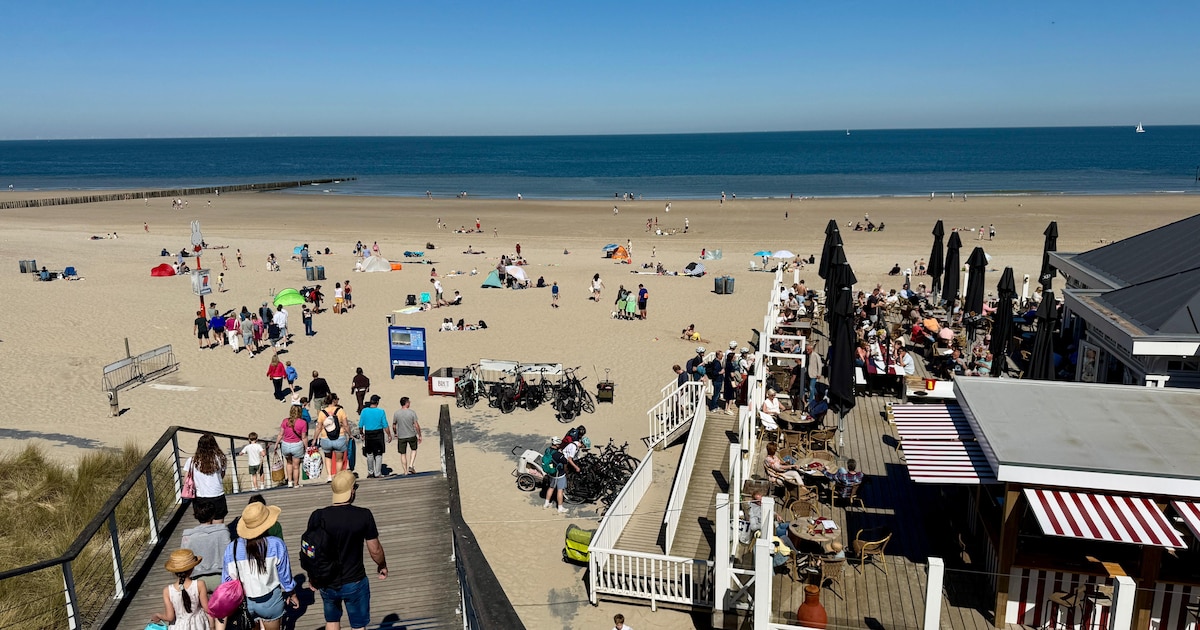 Belgen trekken massaal naar Cadzand voor zonnige vrije dag: 'Het zou hier rustig zijn'