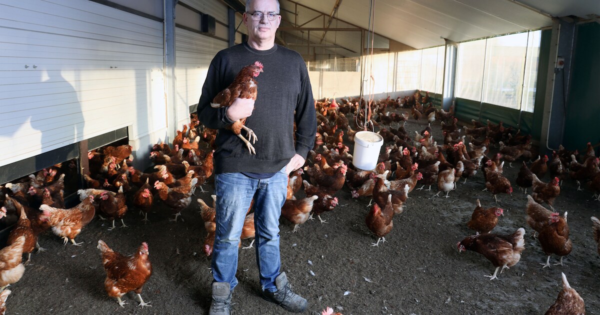 Boer Carlos de Dobbelaere uit IJzendijke: ‘Ik heb vertrouwen in het Nederlandse poldermodel’