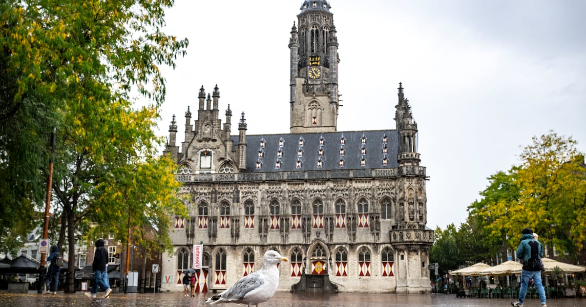 Restauratie staat op punt van beginnen: Stadhuis Middelburg gaat vanaf 21 september in de steigers
