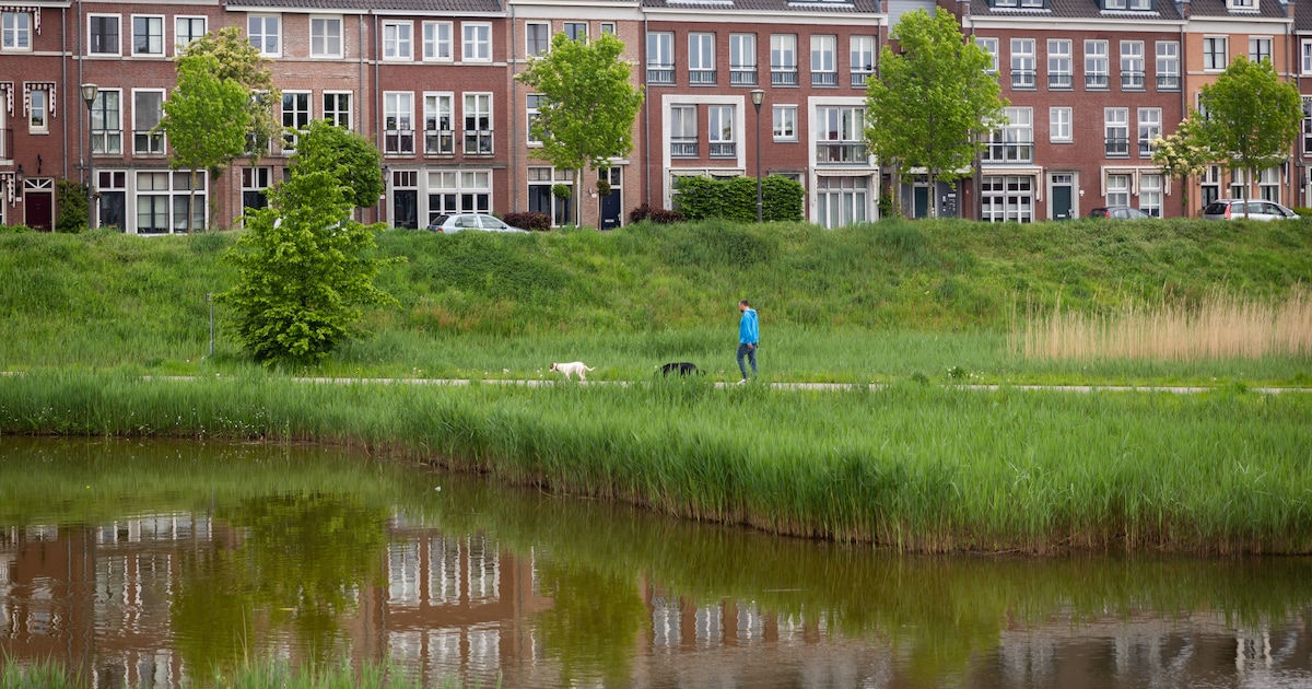 Meer mensen op Noord-Beveland hebben hun buurt laatste jaren achteruit zien gaan dan vooruit